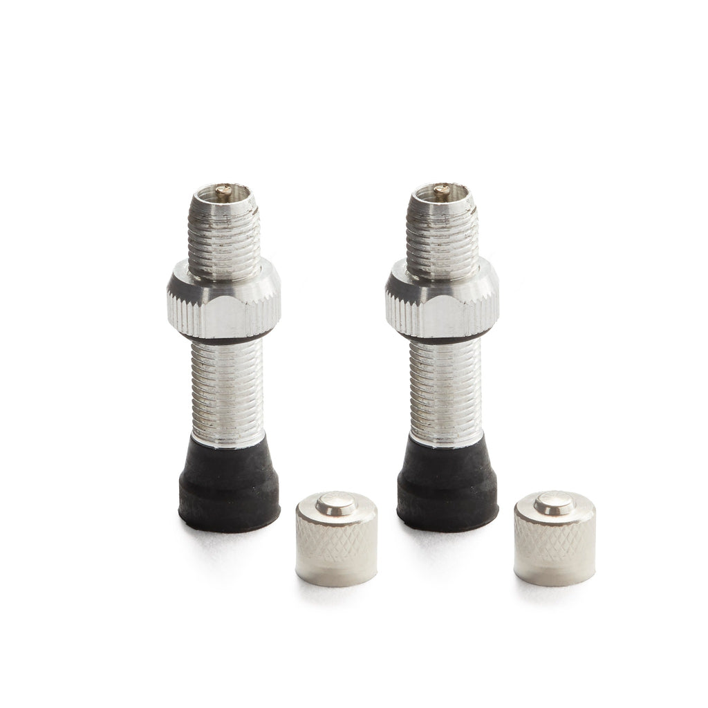 A pair of schrader valve stems in the color silver for tubeless mountain bikes